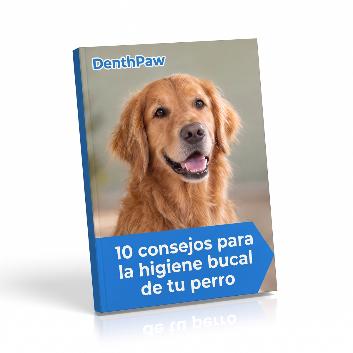 10 TIPS PARA LA HIGIENE BUCAL DE TU PERRO