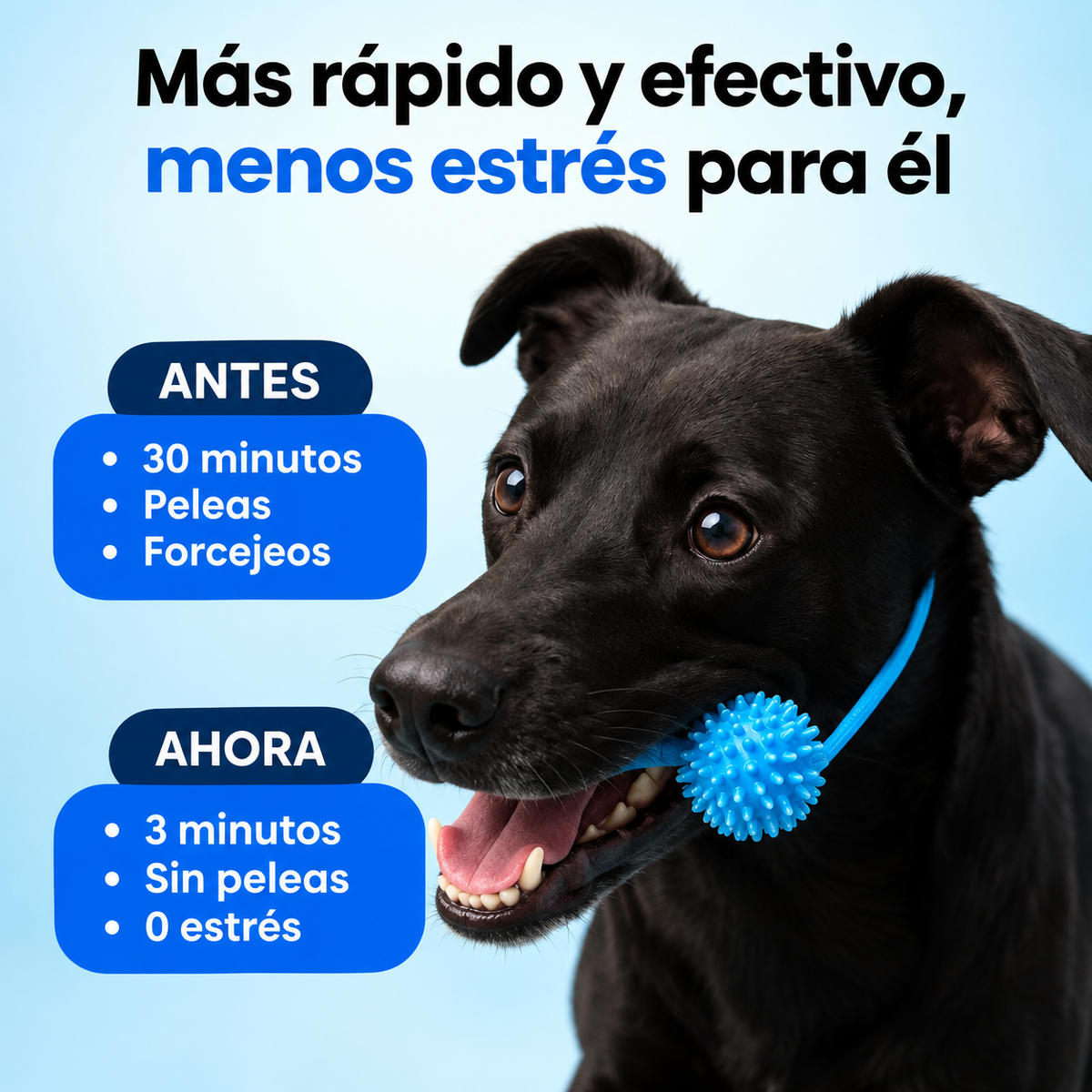 Mordedor Dental 2 En 1